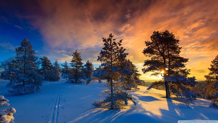 Зимний вечер