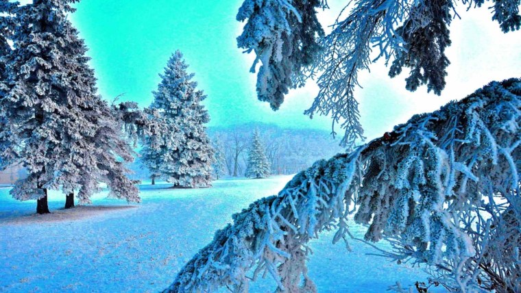 Природа зима