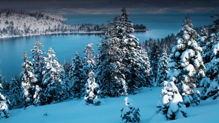 В новогоднем лесу