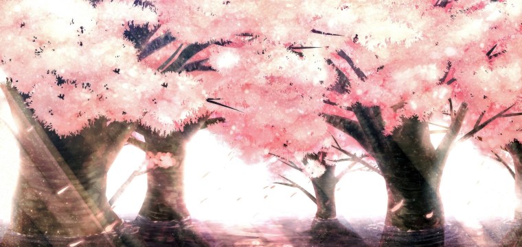 Черри блоссом аниме 1920
