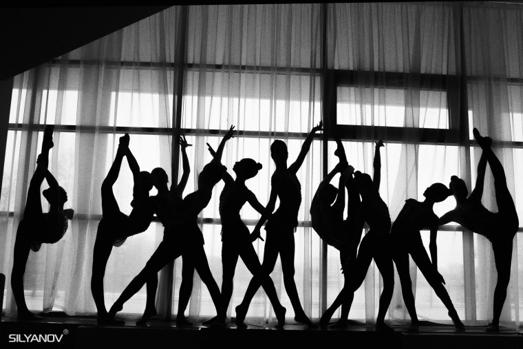 Художественная и эстетическая гимнастика