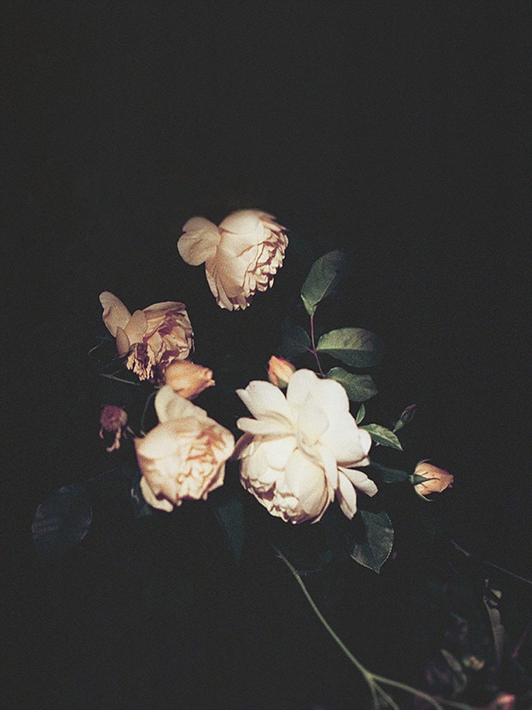 Цветы Эстетика