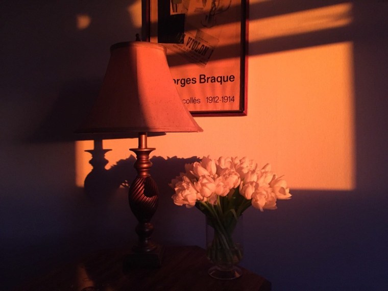 Эстетика в оранжевых тонах