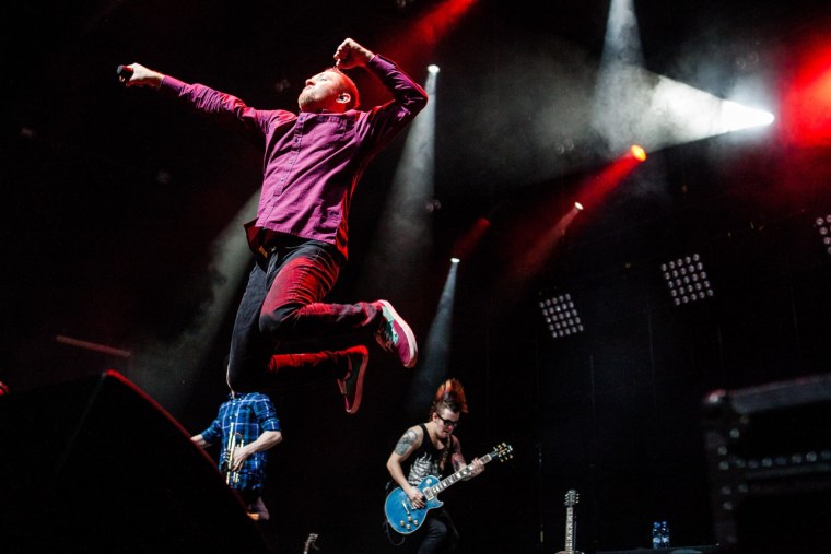 Элизиум панк группа