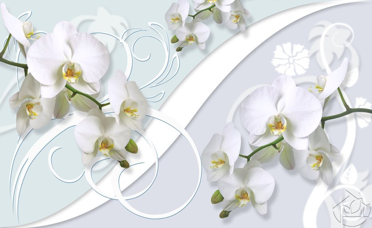 Фотообои флизелиновые