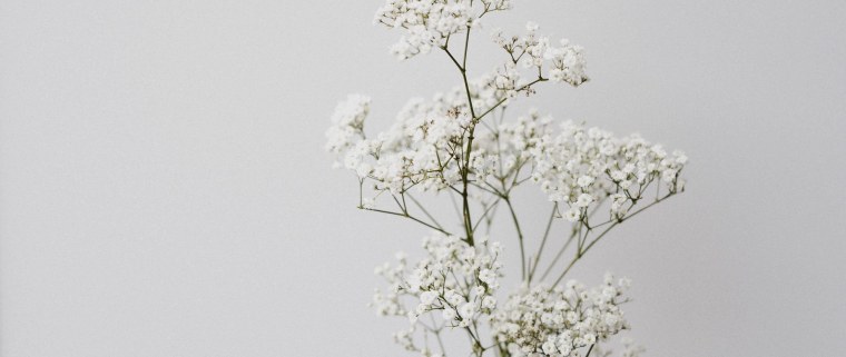 Белый букет Минимализм