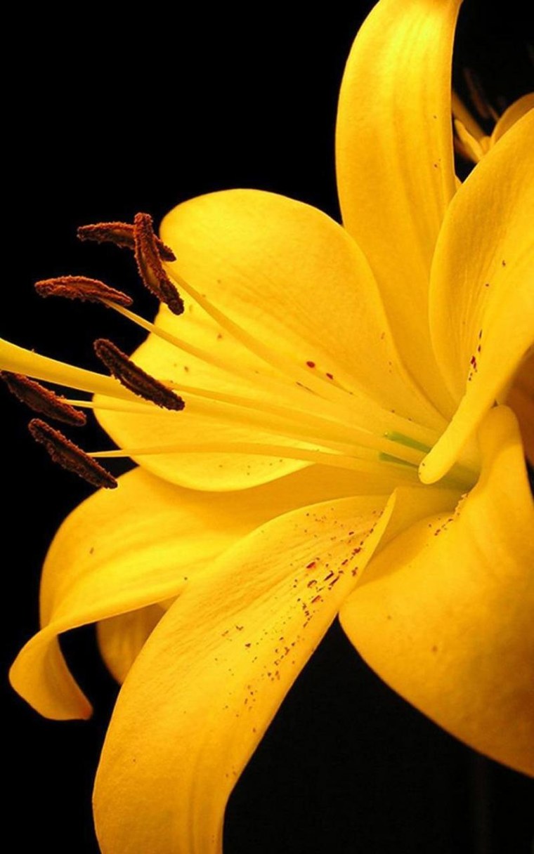 Стильные часы на заставку