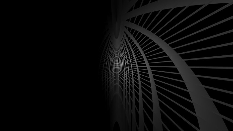 Черный паук на черном фоне