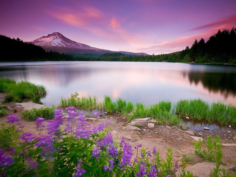 Телевизор JVC lt-32vf52k 32" (2018)