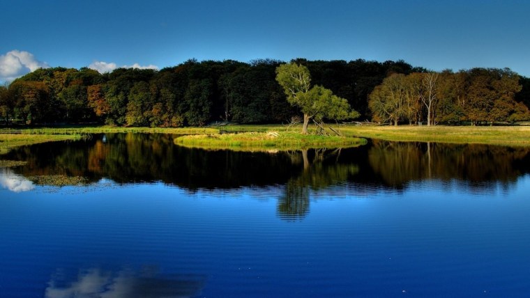 Природа река