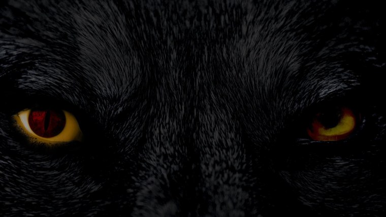 Волчьи глаза в темноте