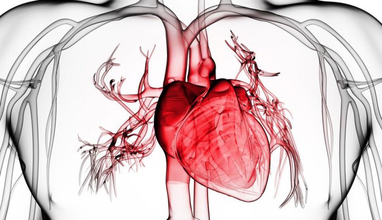 Сердце пульсирует