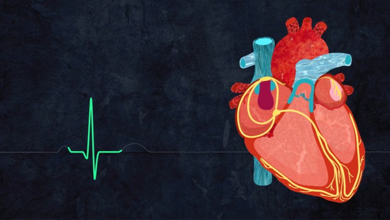Человеческое сердце на белом фоне