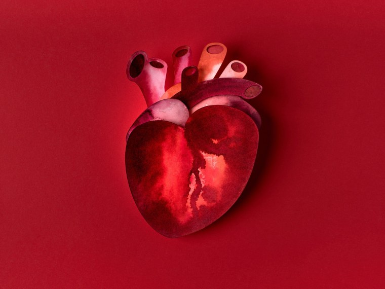 Сердце человека на черном фоне