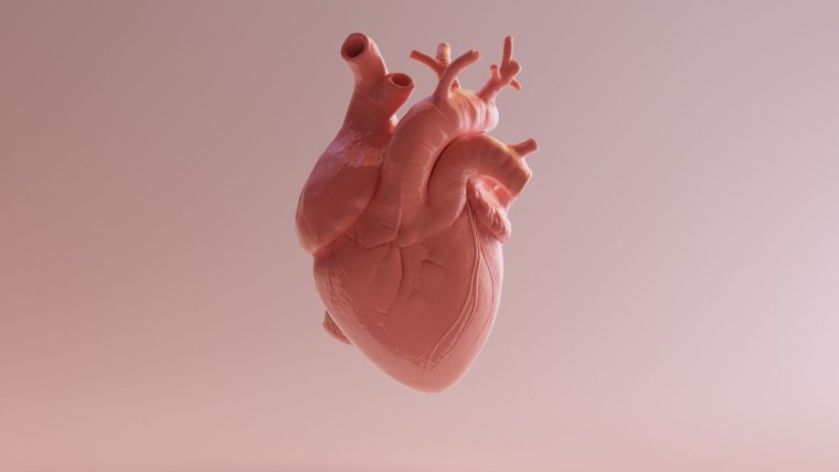 Человеческое сердце на черном фоне