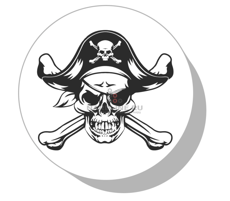 Череп под разными углами