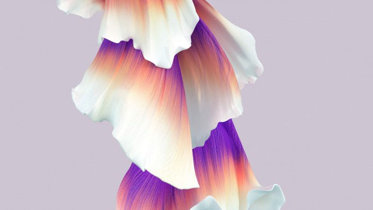 Обои под камеру хонор