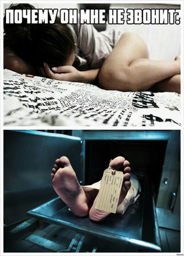 Продажник рисунок