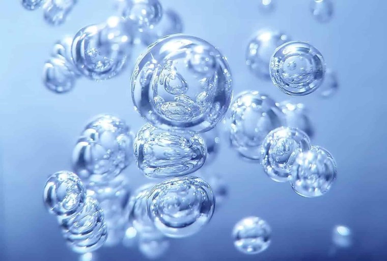 Растения источник кислорода