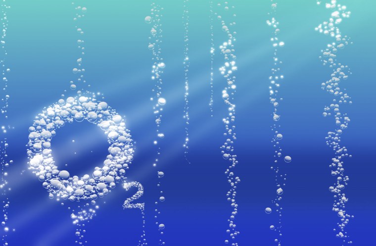 Кислород в воде