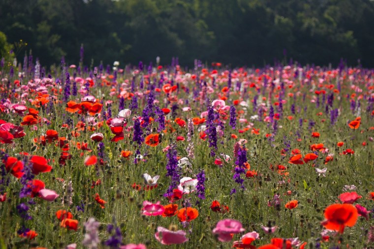 Телевизор Supra STV-lc32s750wl 32"