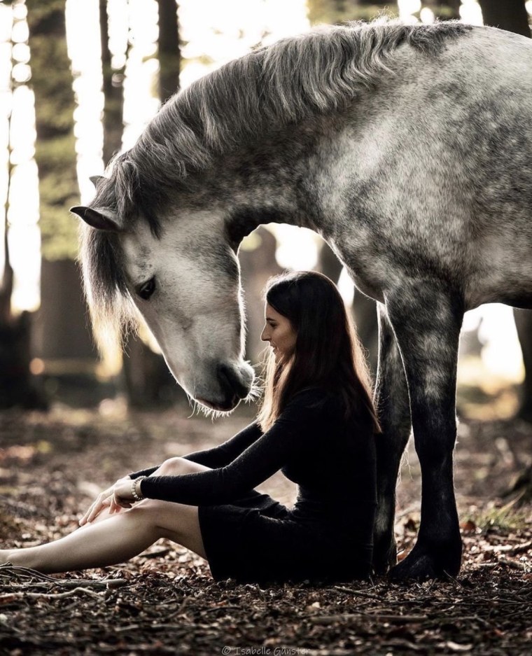 Девушка с лошадью