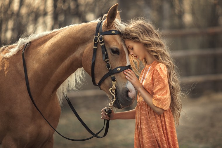 Фотосессия с лошадьми