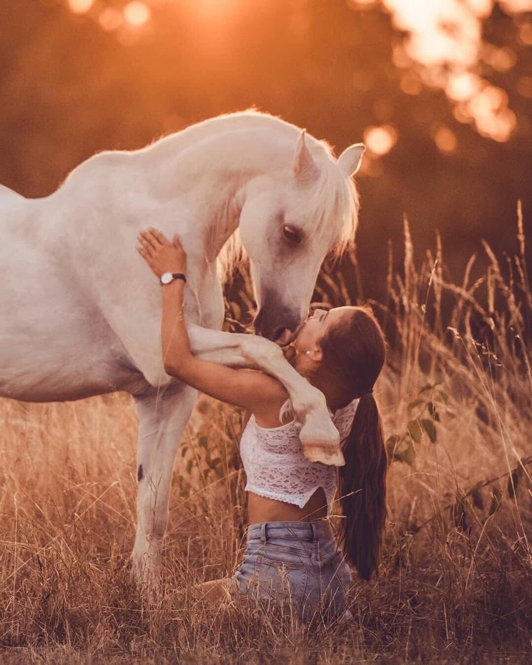 Девушка с лошадью