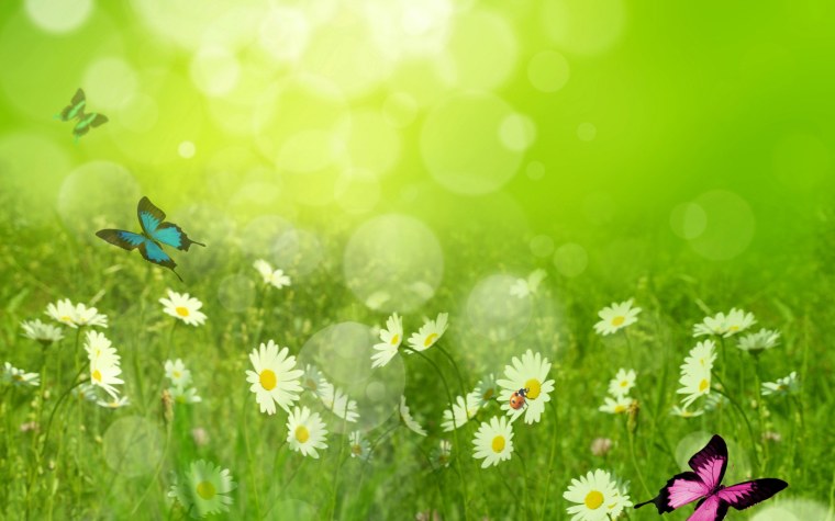 Летний цветочный фон