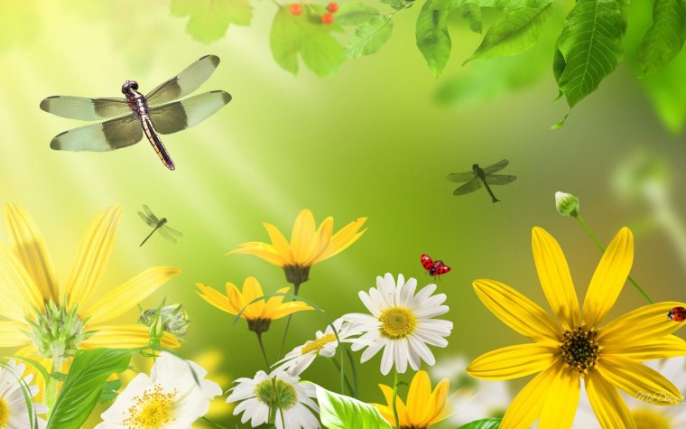 Весенний фон для презентации