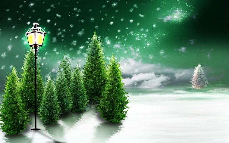 Ромашки и небо