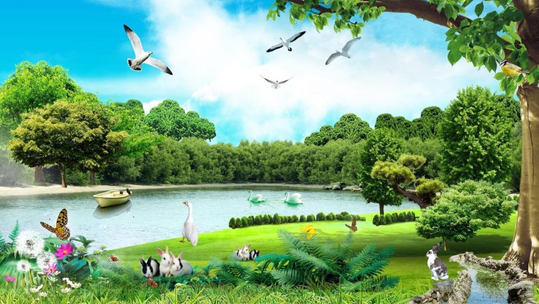 Фон ромашки