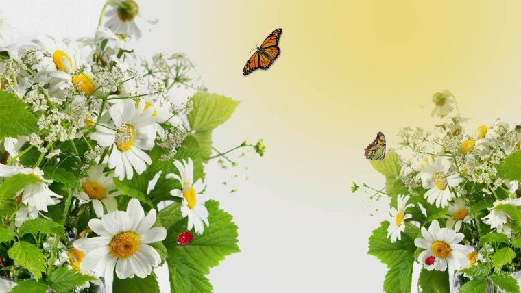 Летний фон с цветами