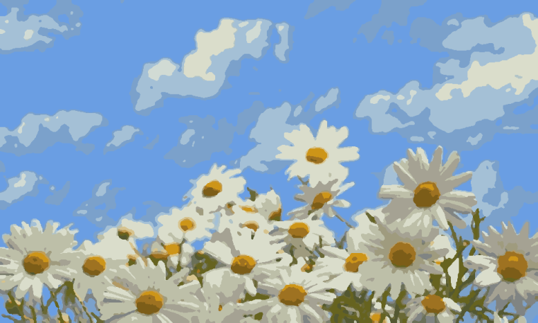 Ромашка цветы