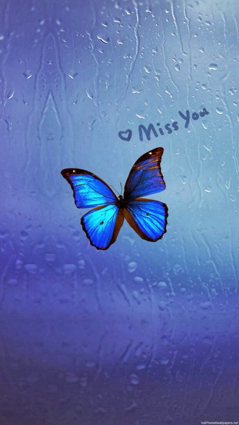 Хонор галакси 6