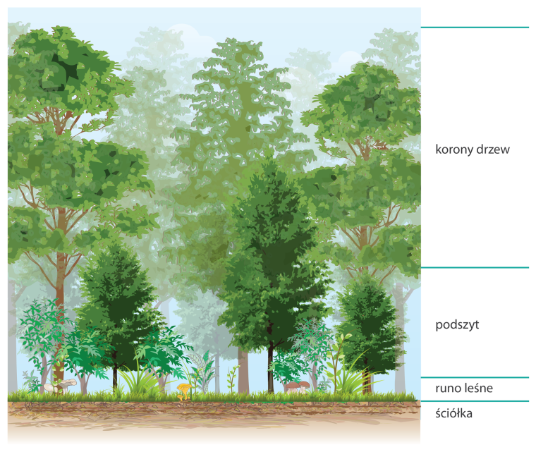 Формирование имиджа города