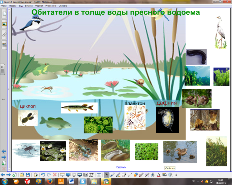 Схема цепи питания в пустыне