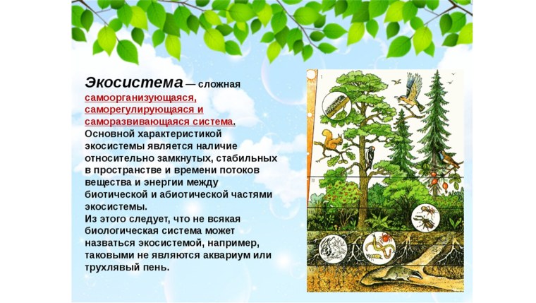 Консументы 2) редуценты