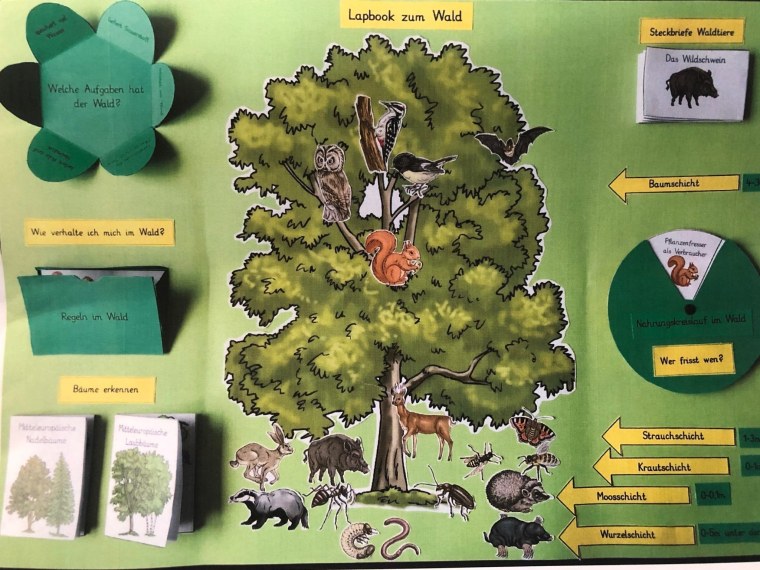 Точки экологической тропы