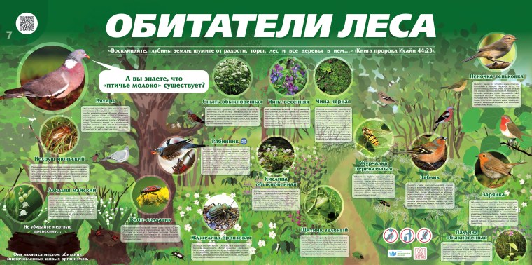 Цепь питания продуценты консументы редуценты