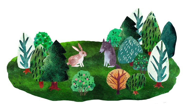 Пищевая цепь животных