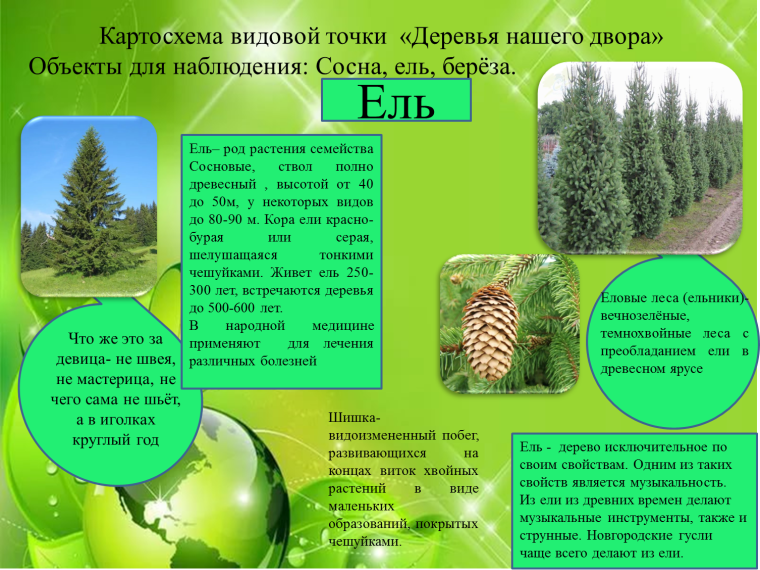 Экосистема рисунок