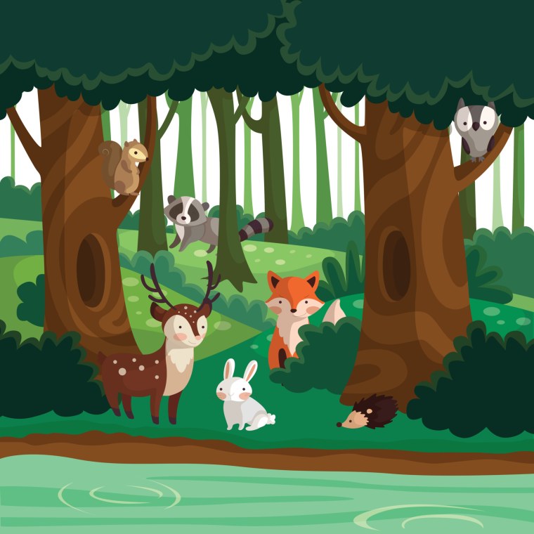 Биогеоценоз смешанный лес