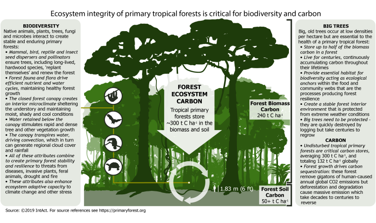 Окружающая среда на белом фоне