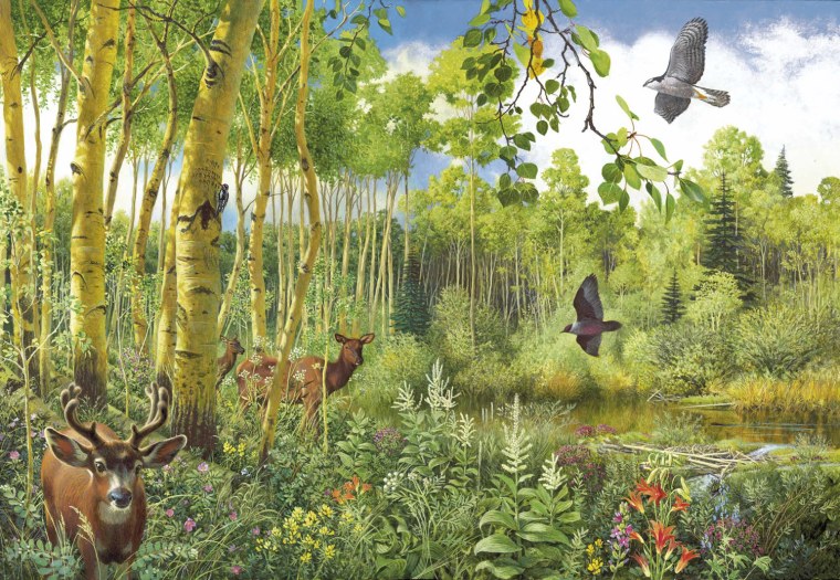 Рассмотрите схему экосистемы смешанного лес