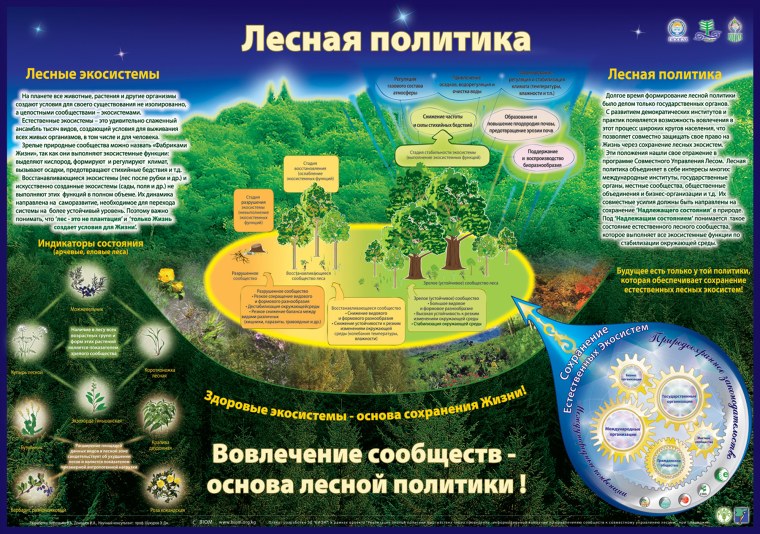 Цепи питания лесных животных