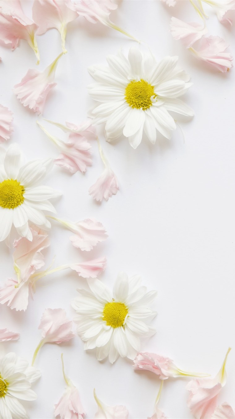 Обои на телефон Лев