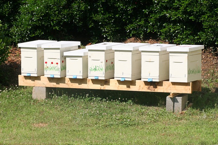 Flow Hive Honey ульи