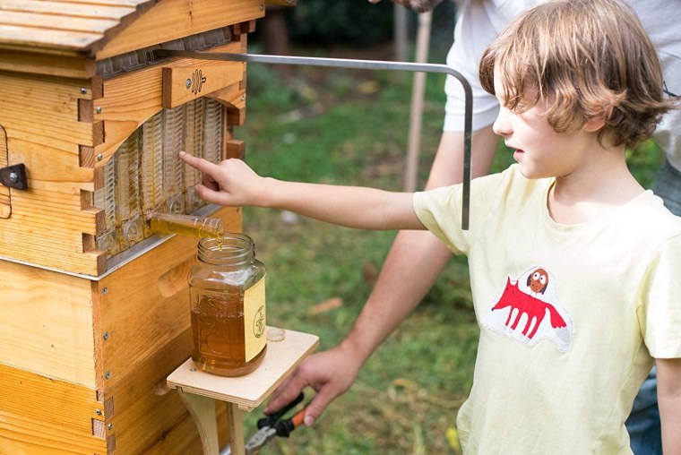 Улей для пасеки