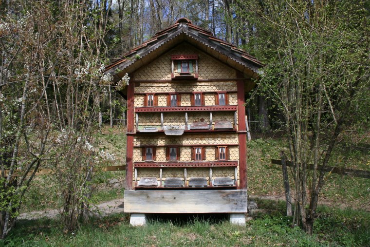 Бихайв («пчелиный улей»).